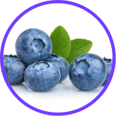 blueberry